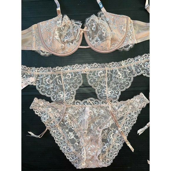Victoria's Secret 36B,36D,36DD BRA SET+garter CORSET BEIGE SILVER evening blush - Picture 7 of 11